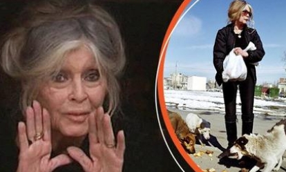 Ayant rejeté son fils unique, Brigitte Bardot a fini seule sans voir ses petits enfants : 'elles ne parlent pas français'